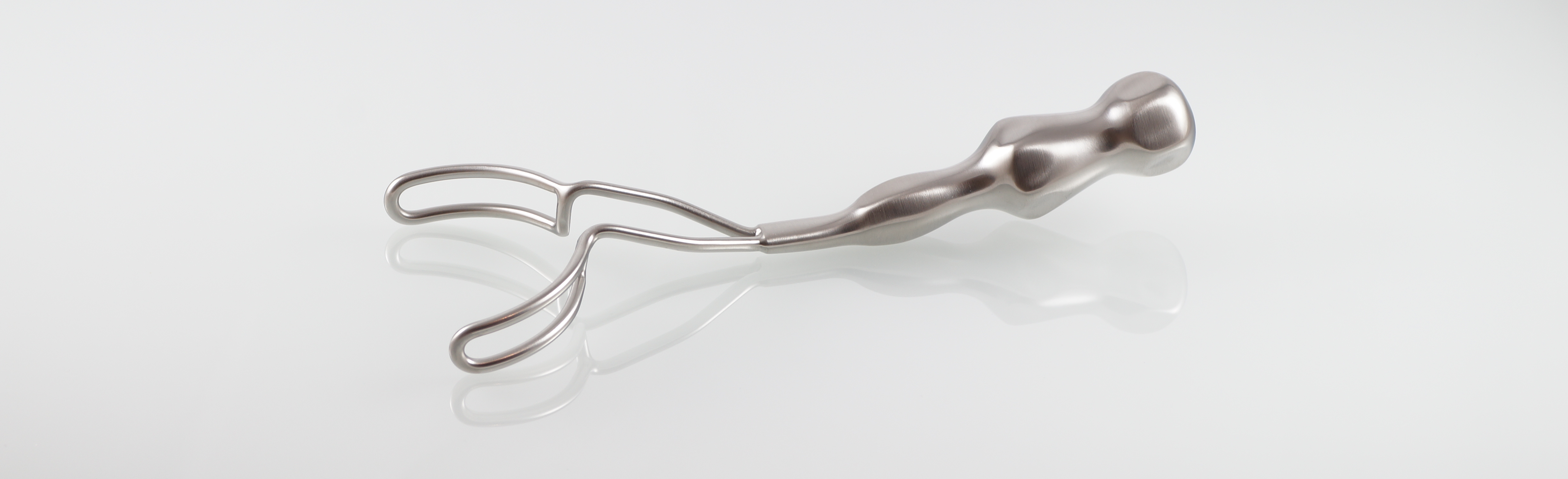 Vestibulum Wangenhalter